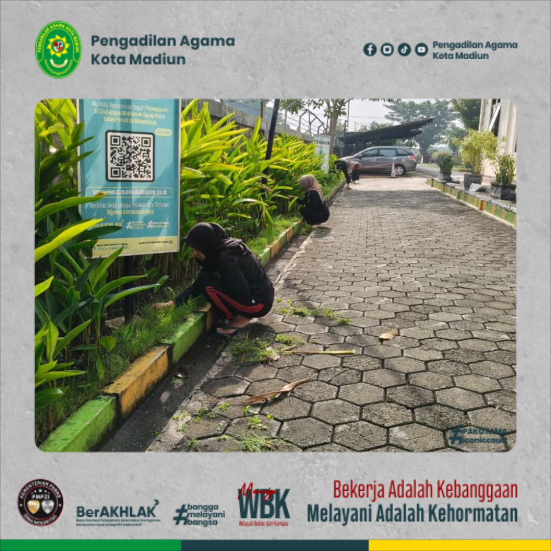 pakotamaig-0bd36918-90f5-4c78-91LKL03-ace84dbe8ded.jpg
