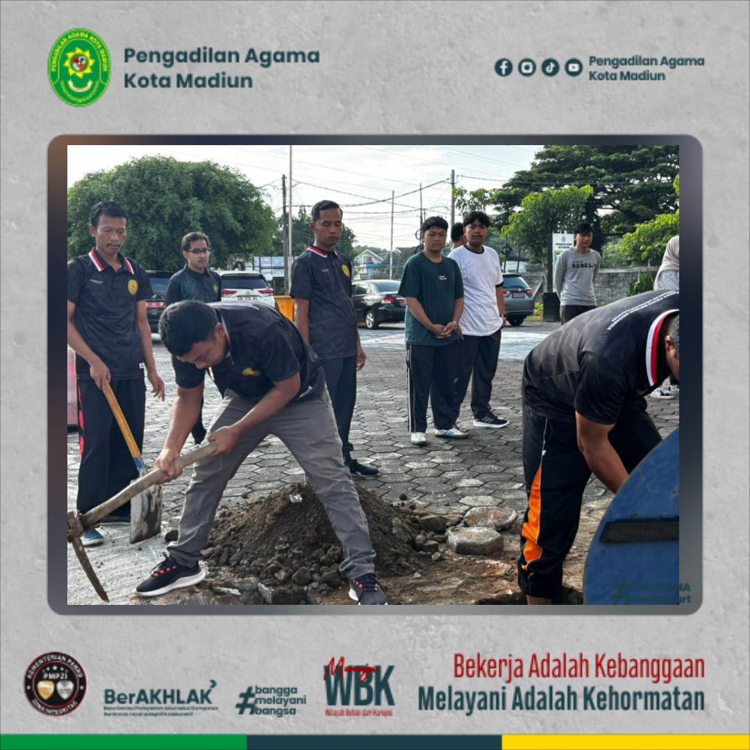 pakotamaig-8d17607d-f664k-4egtrgtrhtyhtyh8a-99d1-3d0e0181415d.jpg