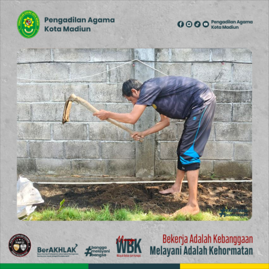 pakotamaig-e7262674-9e2ca-hh4781-8a86-hj67b78d618669.jpg