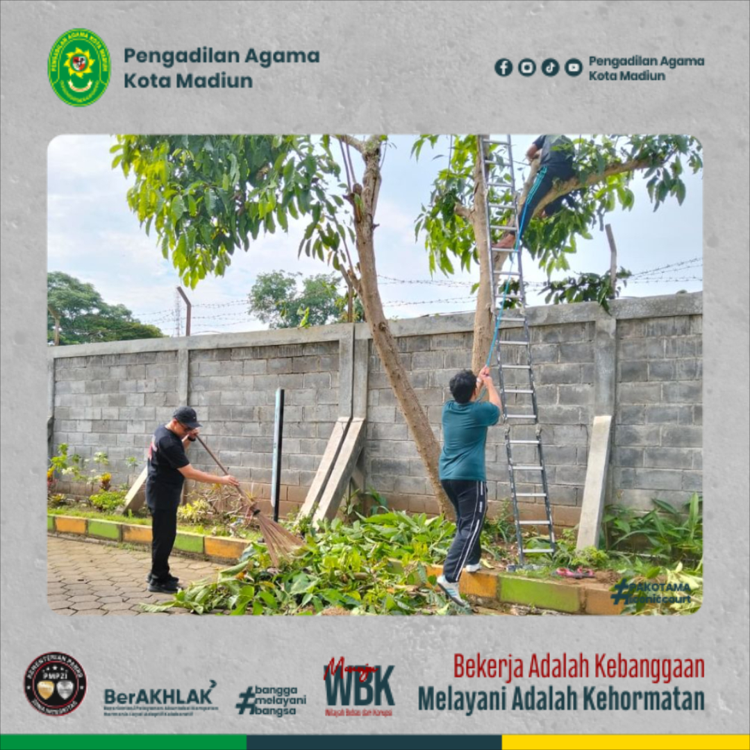 pakotamaigthtyhyjujuyg-120ef011-648f-4b21-82f0-dfl771733bfe9.jpg